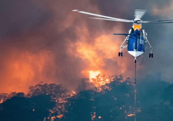 Helicopter over the Forest